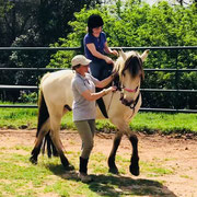 Sentir y descubrir los movimientos del caballo en la equitación