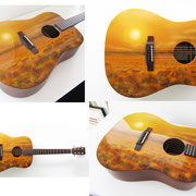 "Buffalo guitar" , aerografia su chitarra acustica, Olanda