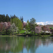 ひがしかぐら森林公園