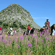 À cheval au mont Gerbier de Jonc