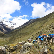 im Alpamayotal (Cordillera Blanca)
