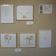 2013作品