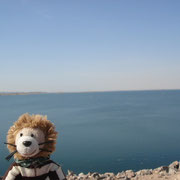 und der Nasser See auf der anderen Seite.