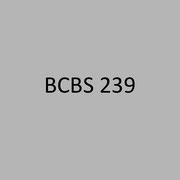 <h3> BCBS 239