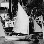 1999 (boulot) - Marie est documentaliste au Port-Musée de Douarnenez et surtout elle s'éclate dans la conception-réalisation de projets muséographiques. Benoît oeuvre dans le développement local à pont l'Abbé