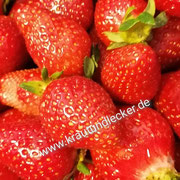 600 g frische Erdbeeren