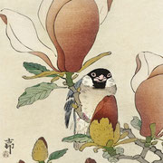 nuancier marie saïki peinture Ecolabel brun 