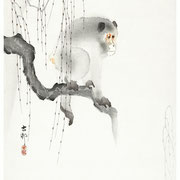 Nuancier marie saïki peinture Ecolabel couleur gris