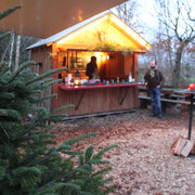 Unsere Harzer Wald-Hütte. Harzer Tanne