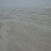 verdammt starker Gegenwind auf dem Rückweg ......der Sand kommt geflogen  