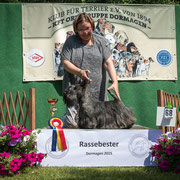 Scottish Terrier Rüde "Sir Darnley's Windsor Wizard"