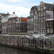 Amsterdam - Le marché aux fleurs flottant le long du canal Singel.