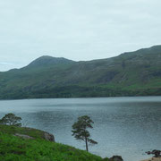 Le grand(20km de long) et beau Loch Maree.