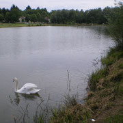 Chantenay Saint Imier - Le lac