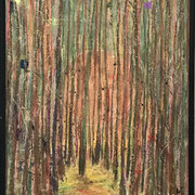 Untitled, 40x30 cm, oil crayon/oil stick on paper