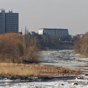 Blick nach Wieblingen