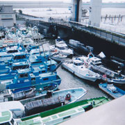 羽田第2水門内 8日07:30頃