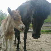 Daladís & Mama Þruma