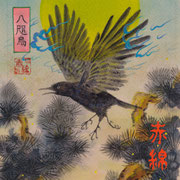 赤綿