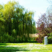 Hummelgarten