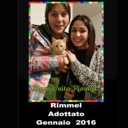 pets weet home perugia