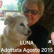 pets weet home perugia