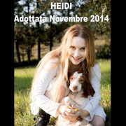pets weet home perugia