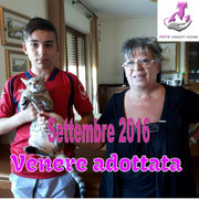 pets weet home perugia