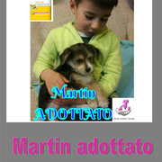 pets weet home perugia