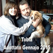 pets weet home perugia