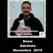 pets weet home perugia