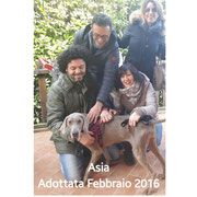 pets weet home perugia