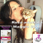 pets weet home perugia