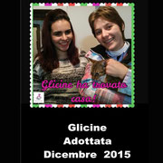 pets weet home perugia