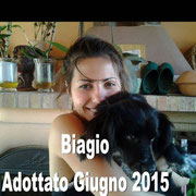 pets weet home perugia