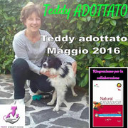 Pets' Sweet Home Perugia