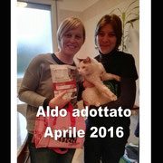 pets weet home perugia