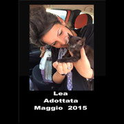 pets weet home perugia