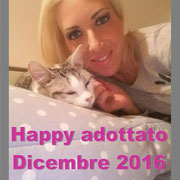 pets weet home perugia