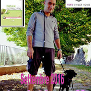 pets weet home perugia