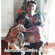 pets weet home perugia