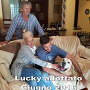 pets weet home perugia