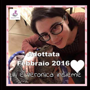 pets weet home perugia