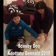 pets weet home perugia