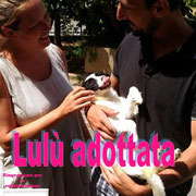 pets weet home perugia