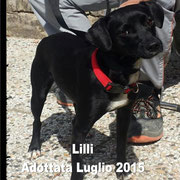 pets weet home perugia