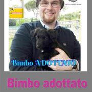 pets weet home perugia