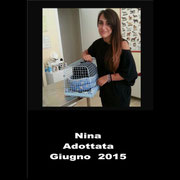 pets weet home perugia