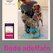 pets weet home perugia