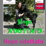 pets weet home perugia